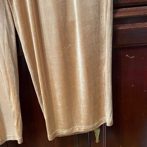 Silhouettes Vintage plus size 3X stretchy Elegant Tan Women's Pants - Picture 5 of 16